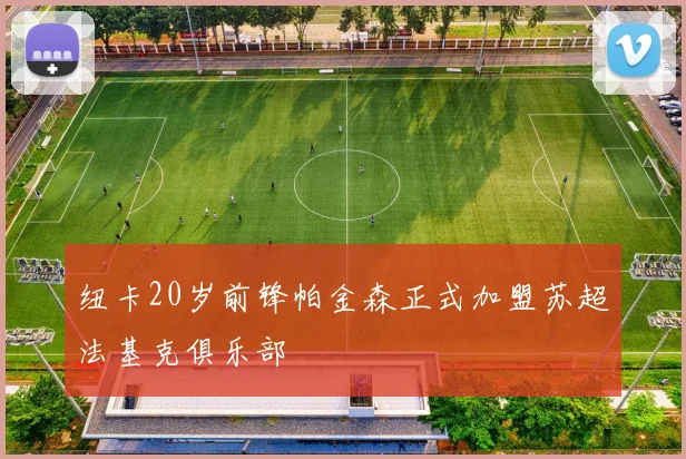 纽卡20岁前锋帕金森正式加盟苏超法基克俱乐部